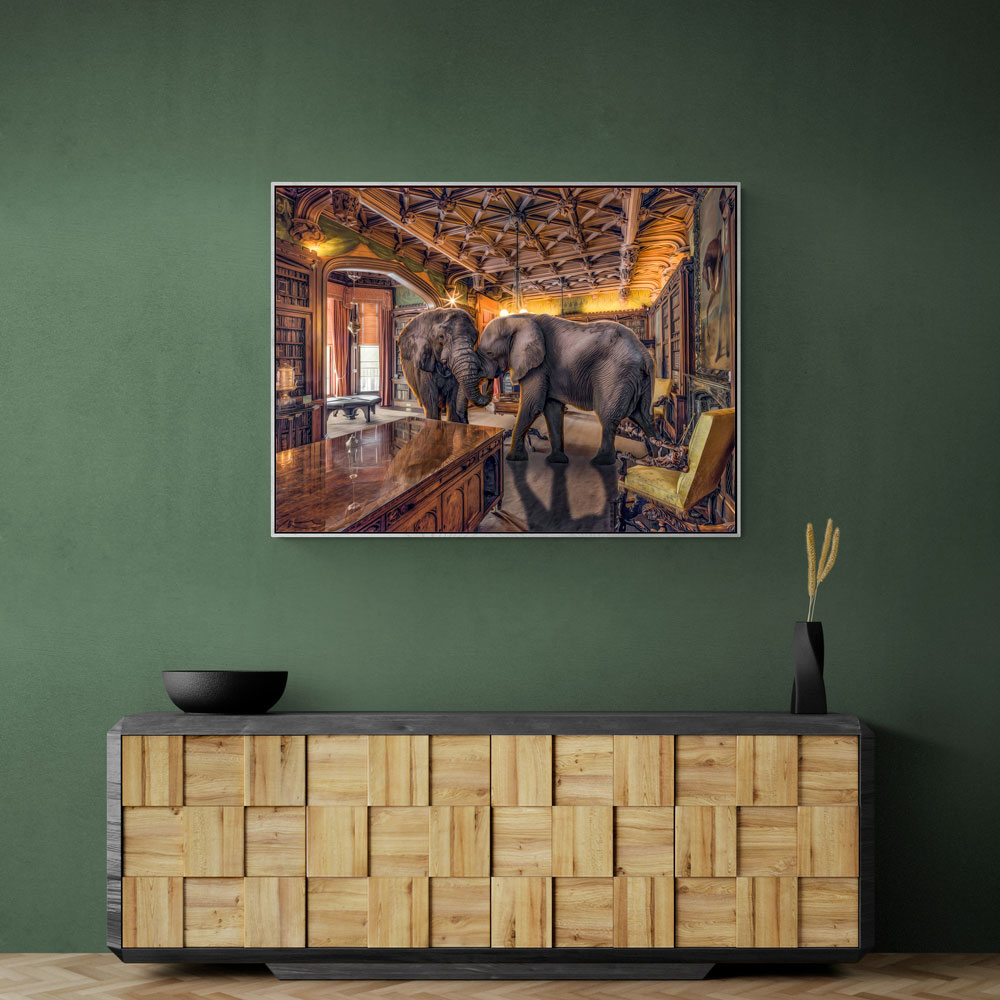 Elephants 1 Elephants 1