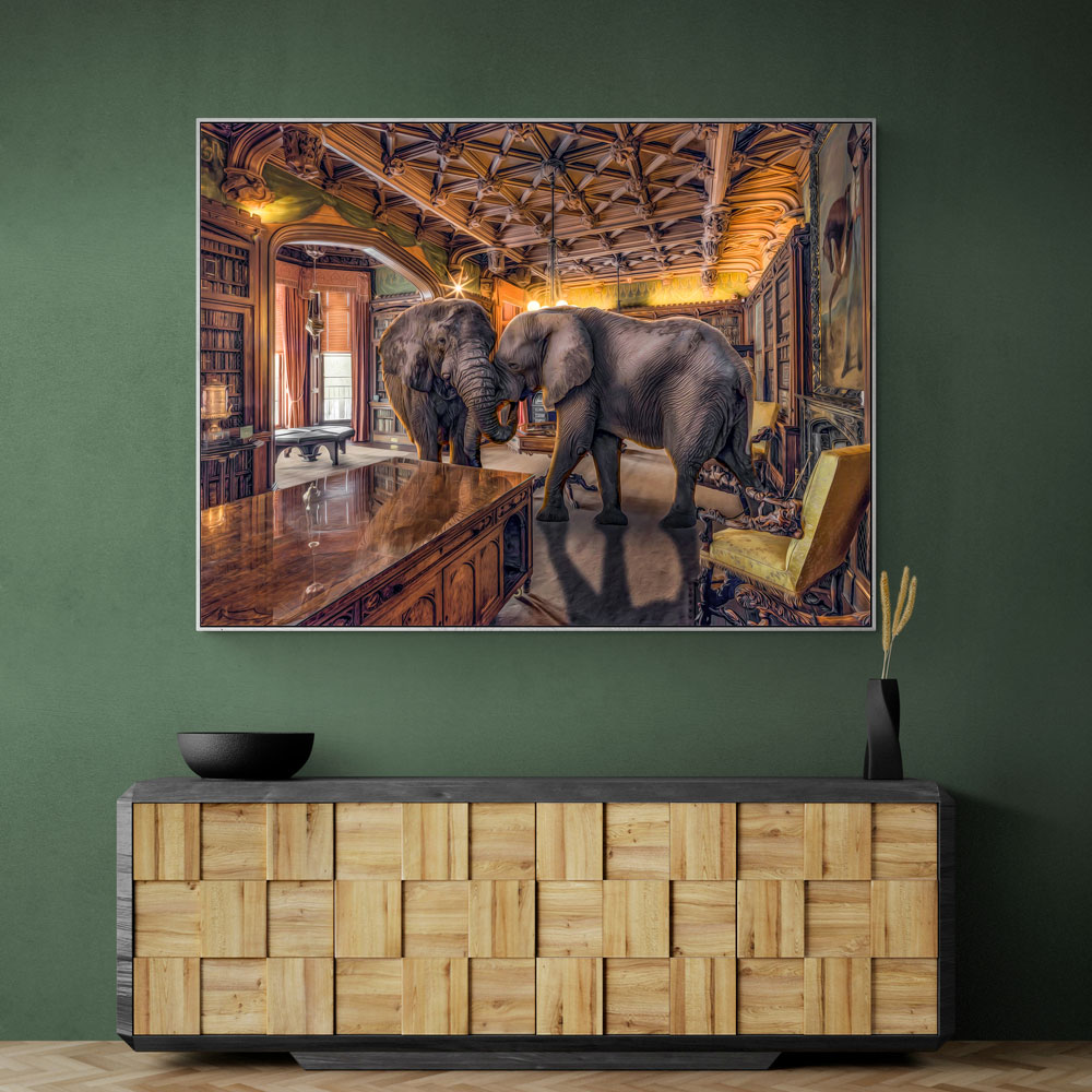Elephants 1 Elephants 1