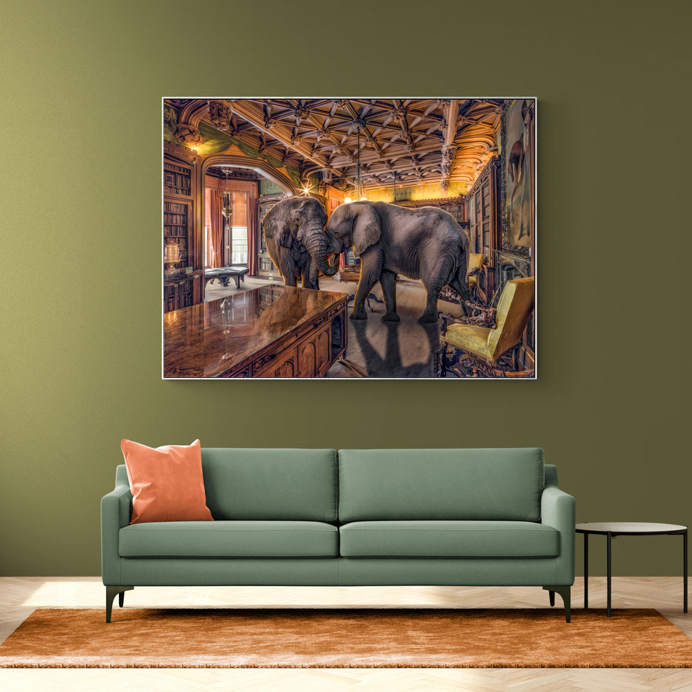 Elephants 1 Elephants 1