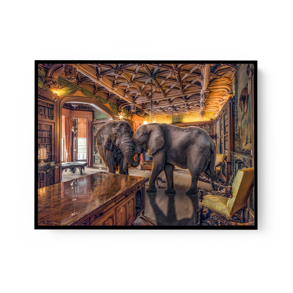 Elephants 1 Elephants 1
