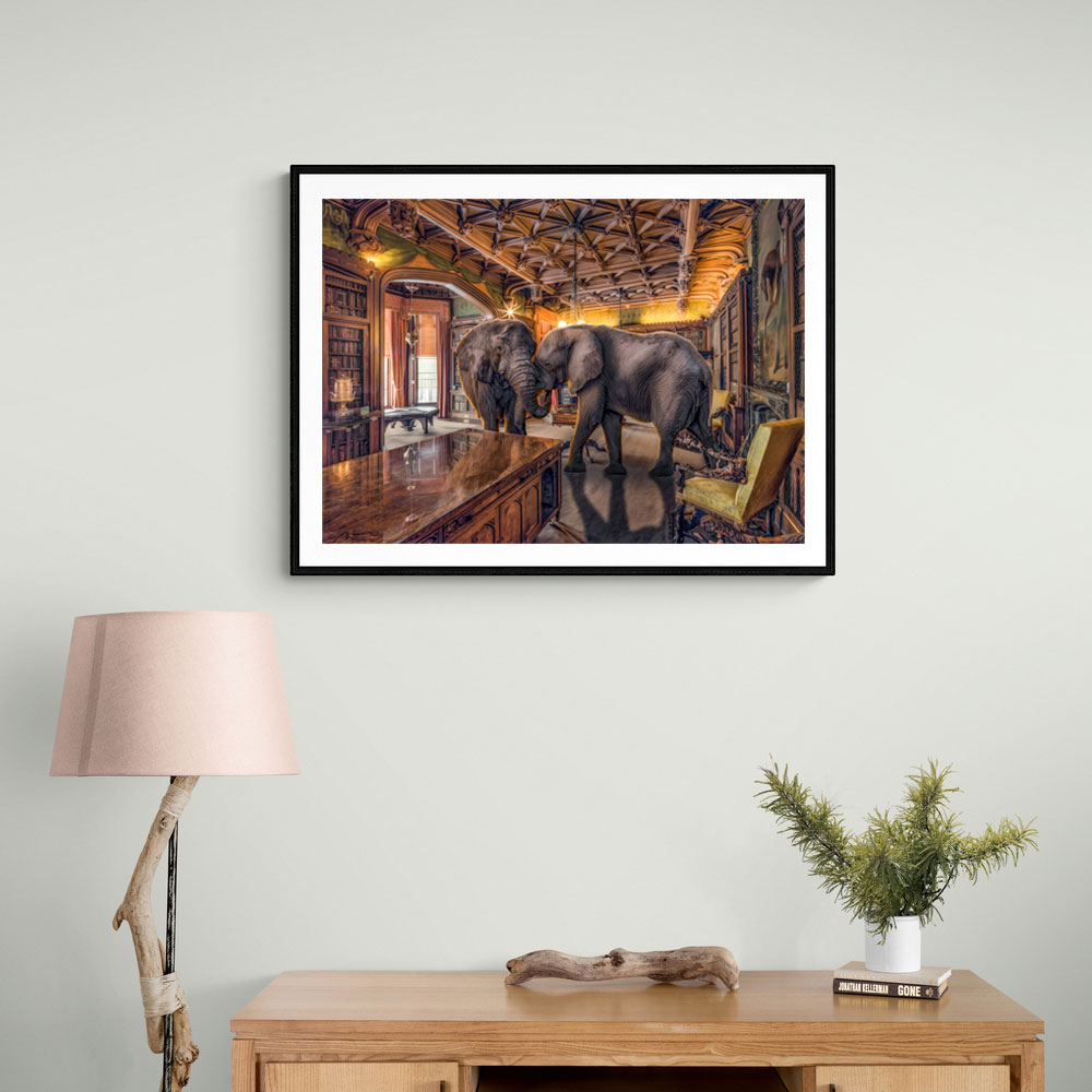 Elephants 1 Elephants 1