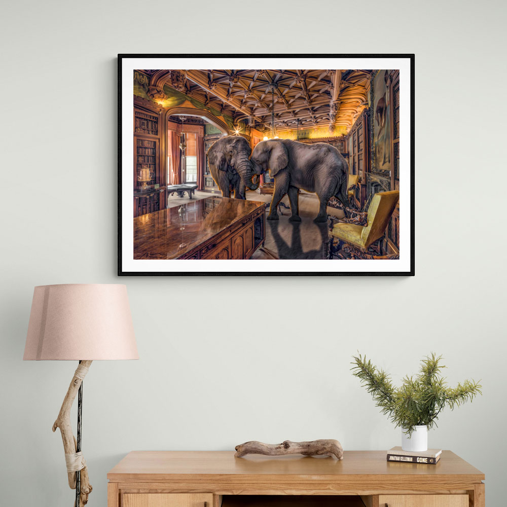 Elephants 1 Elephants 1