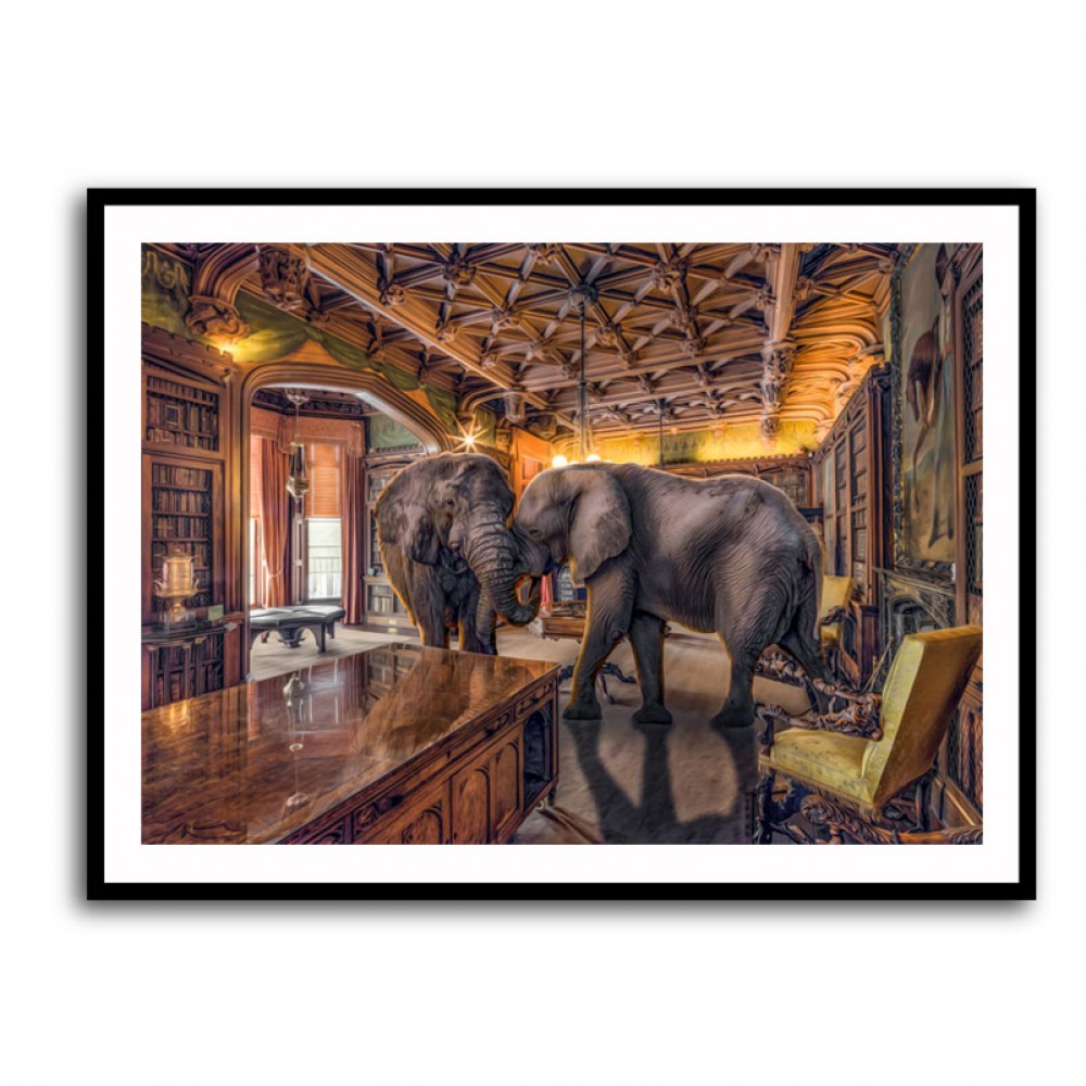 Elephants 1 Elephants 1