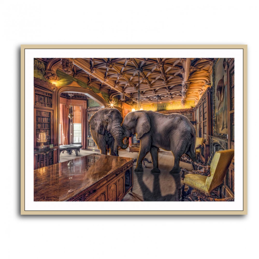 Elephants 1 Elephants 1