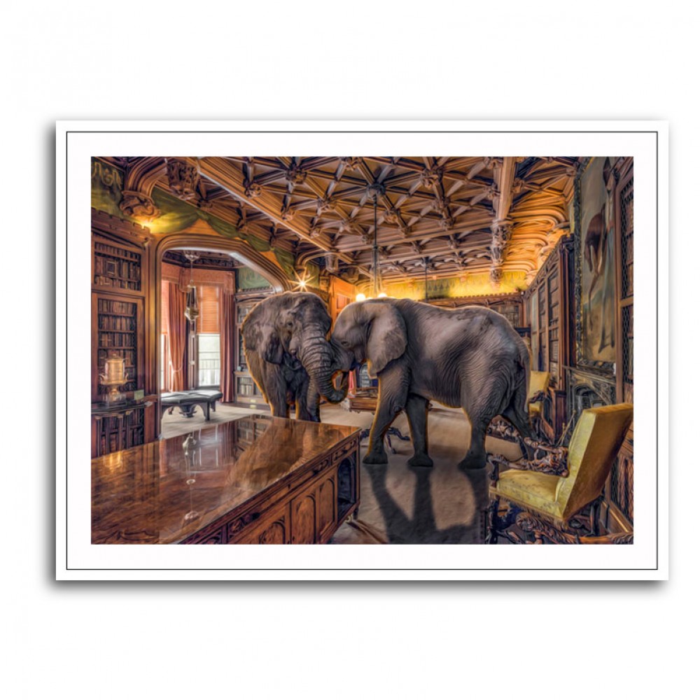 Elephants 1 Elephants 1