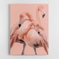 Flamingos No 1