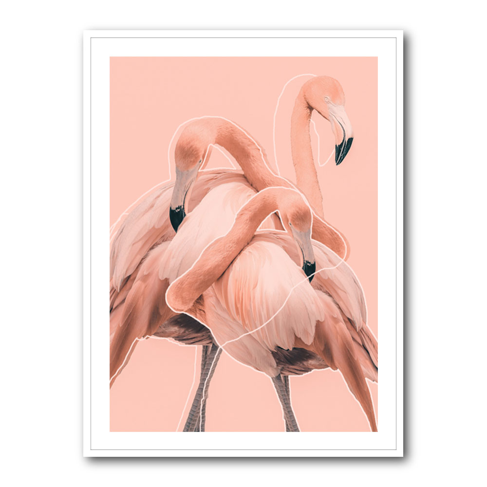 Flamingos No 1