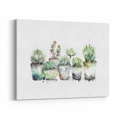 Urban Potted Succulents