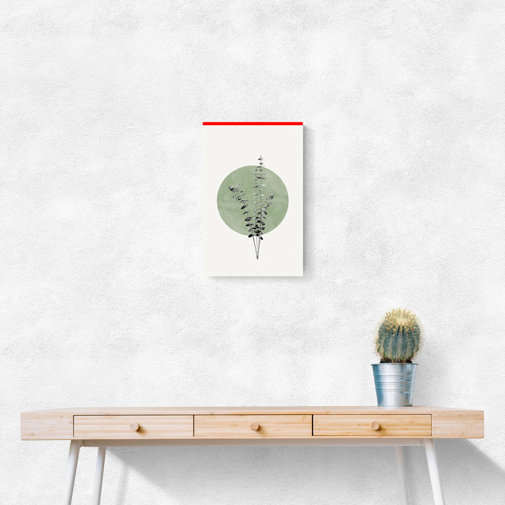 Eucalyptus and Green Moon Eucalyptus and Green Moon