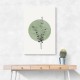 Eucalyptus and Green Moon Eucalyptus and Green Moon