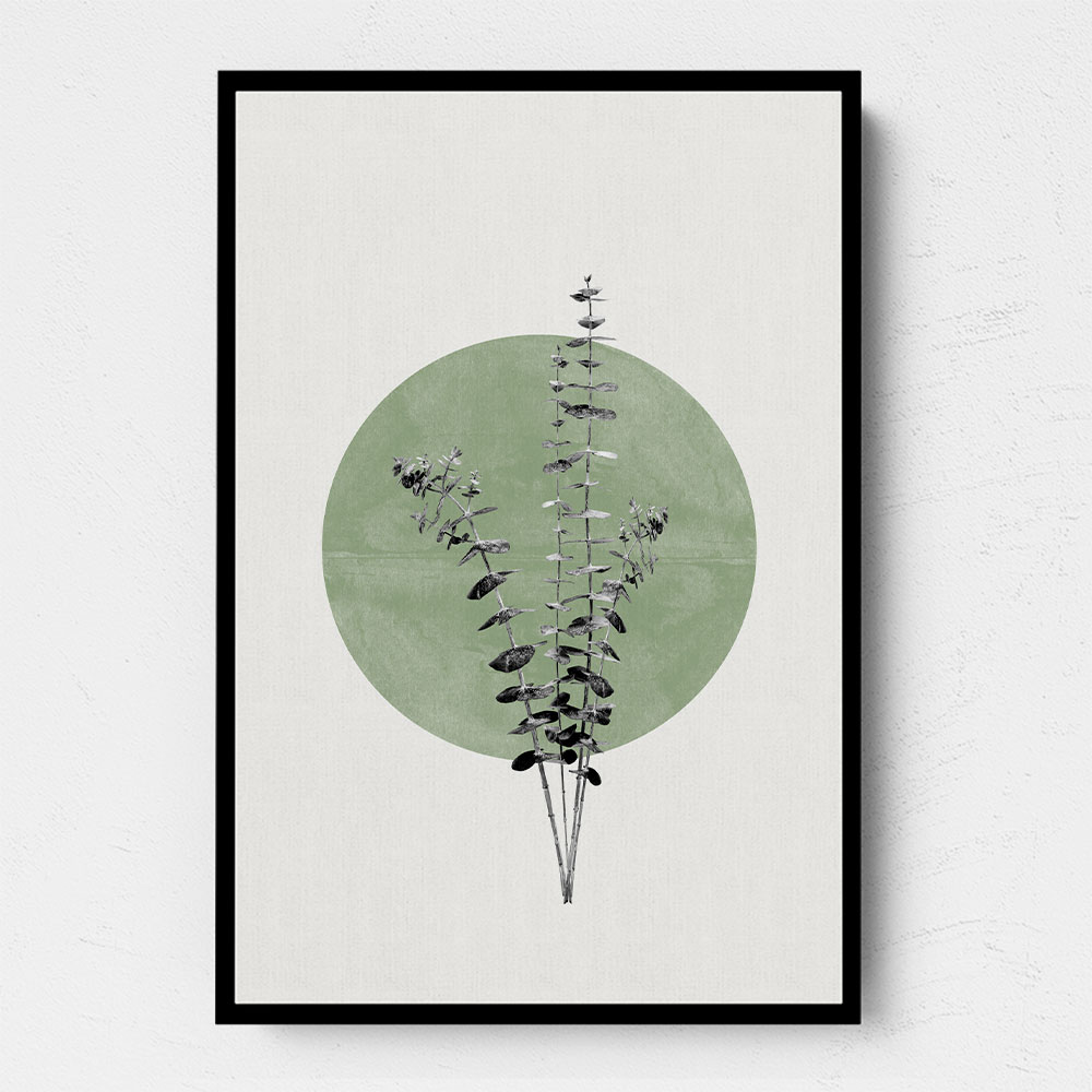 Eucalyptus and Green Moon Eucalyptus and Green Moon