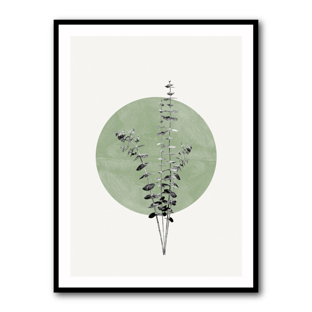 Eucalyptus and Green Moon Eucalyptus and Green Moon