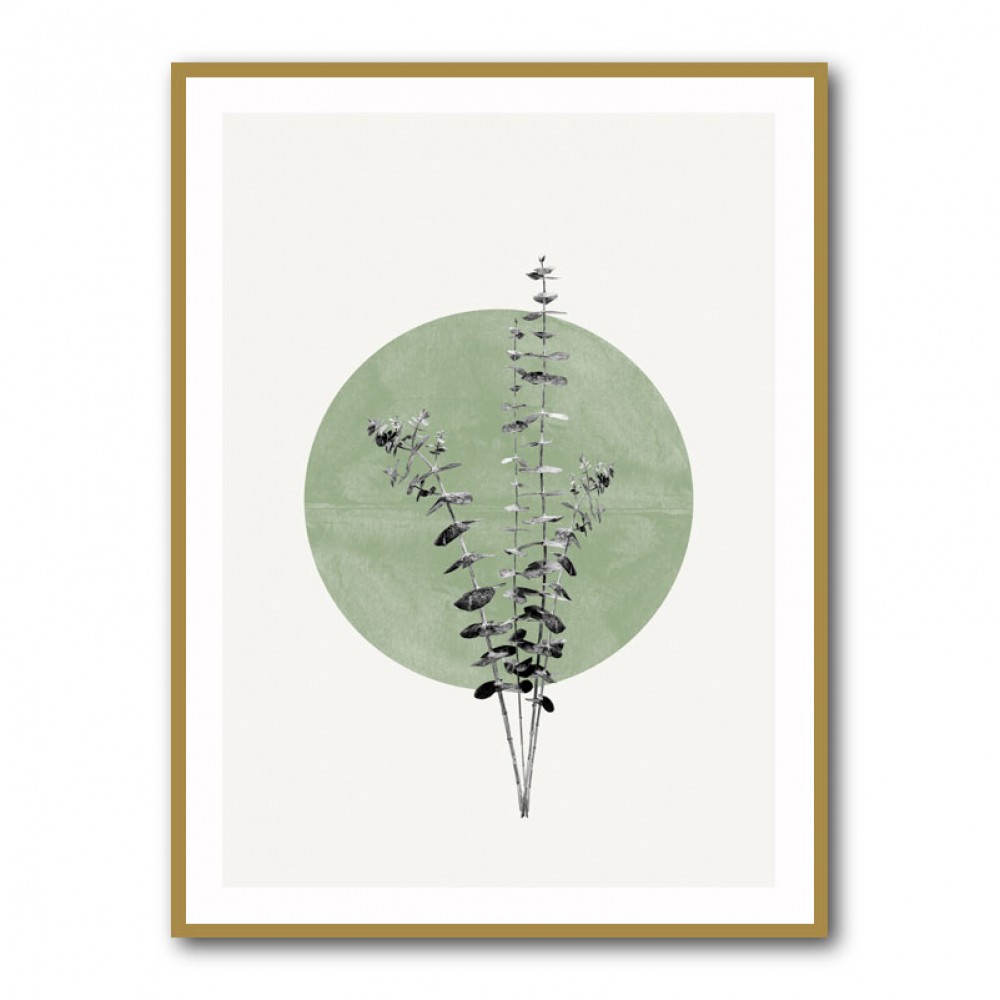 Eucalyptus and Green Moon Eucalyptus and Green Moon