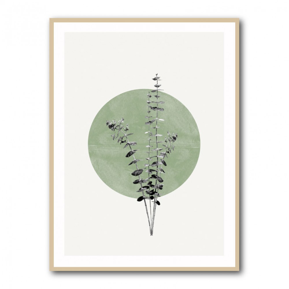 Eucalyptus and Green Moon Eucalyptus and Green Moon