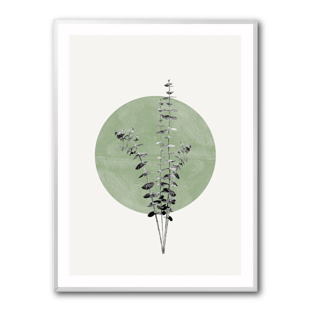Eucalyptus and Green Moon Eucalyptus and Green Moon