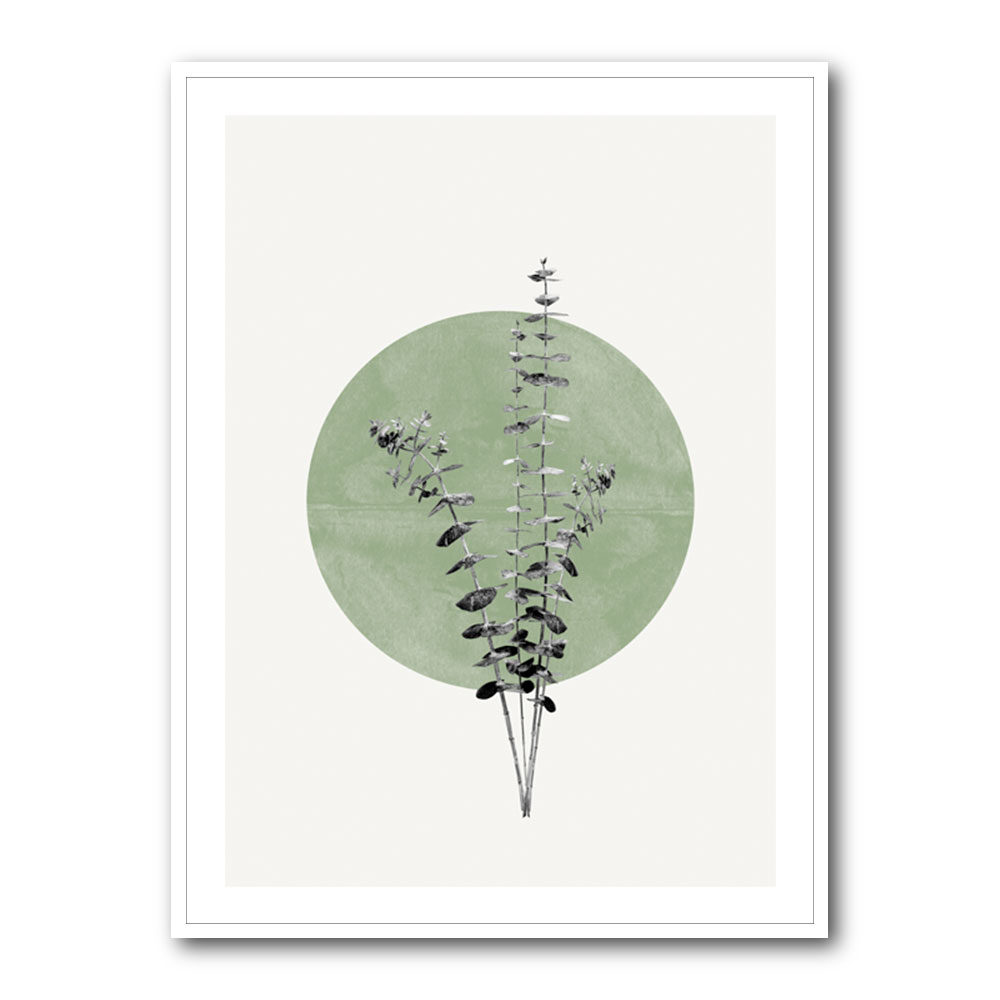 Eucalyptus and Green Moon Eucalyptus and Green Moon