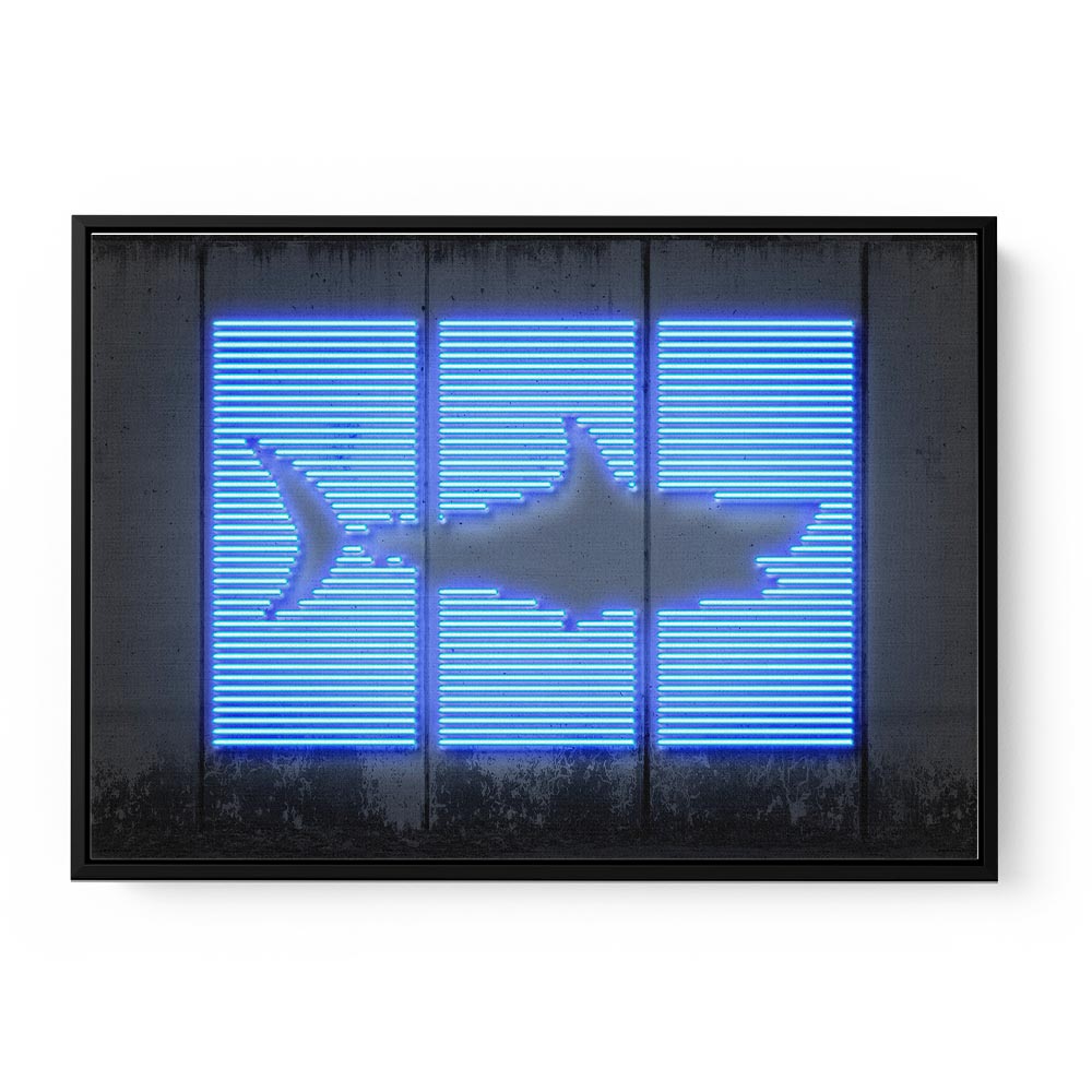 Shark Neon