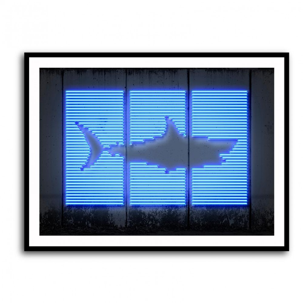 Shark Neon