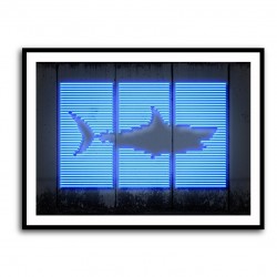 Shark Neon