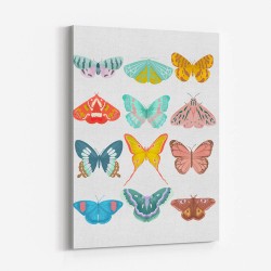 Butterfly Wall Art