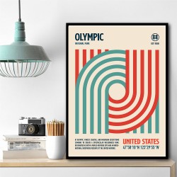 Olympic National Park Travel Poster