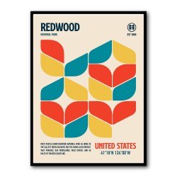 Redwood National Park Travel Poster