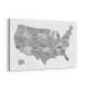 Gray watercolor map of the US