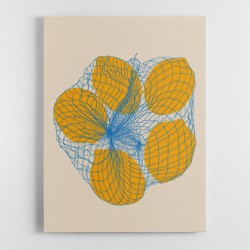 Five Lemons In A Net Bag Wall Art