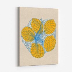 Five Lemons In A Net Bag Wall Art