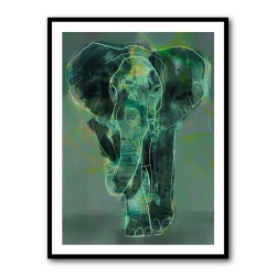 Teal Elephant