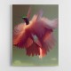 Humming Bird with Pink Wings Humming Bird with Pink Wings