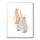 Soft Pink Blue 2 Soft Pink Blue 2