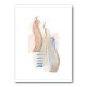Soft Pink Blue 2 Soft Pink Blue 2
