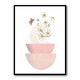 Daisy Pinks 2