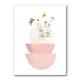 Daisy Pinks 2