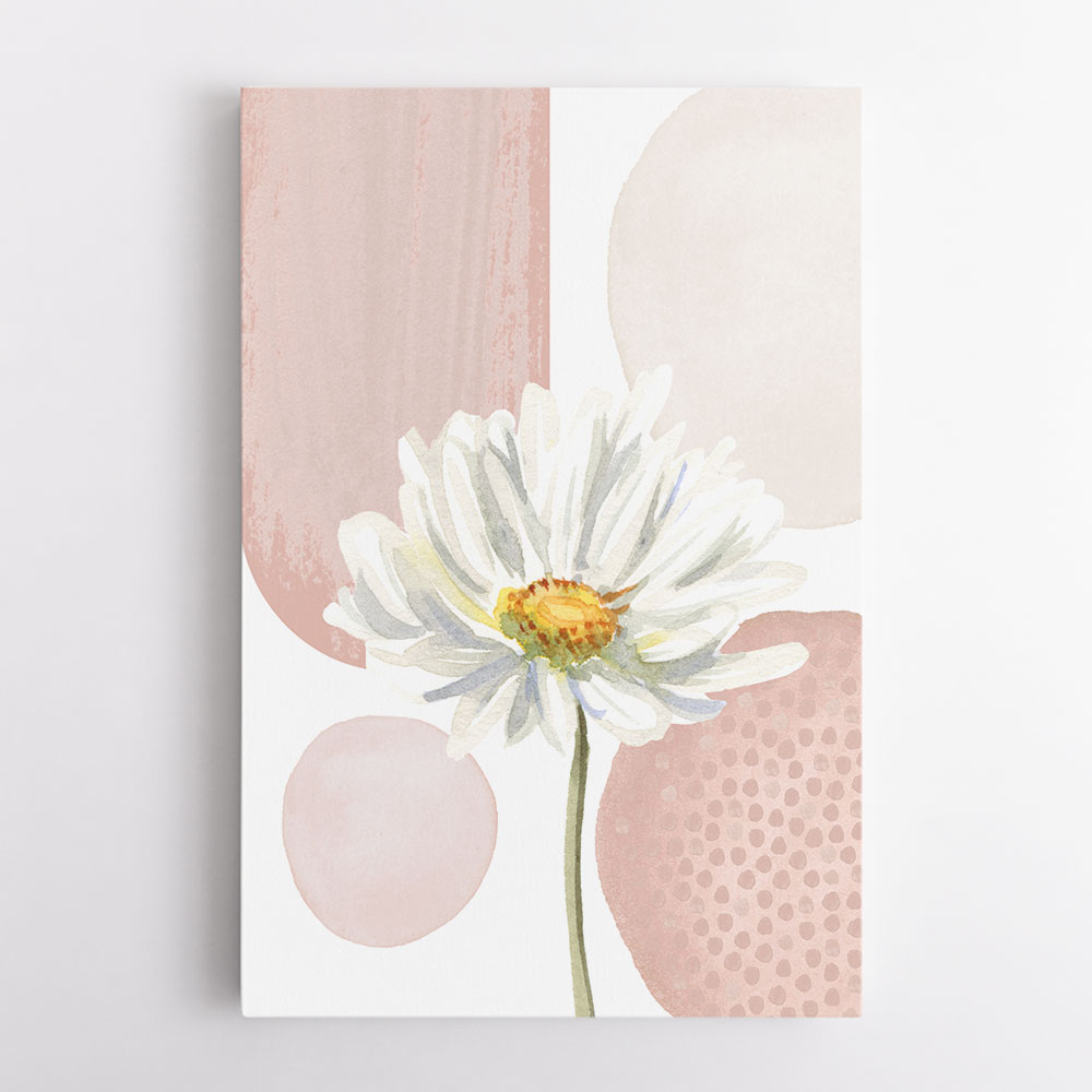Daisy Pinks 1 Daisy Pinks 1
