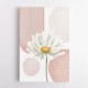 Daisy Pinks 1 Daisy Pinks 1