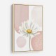 Daisy Pinks 1 Daisy Pinks 1