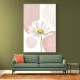 Daisy Pinks 1 Daisy Pinks 1