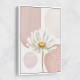 Daisy Pinks 1 Daisy Pinks 1