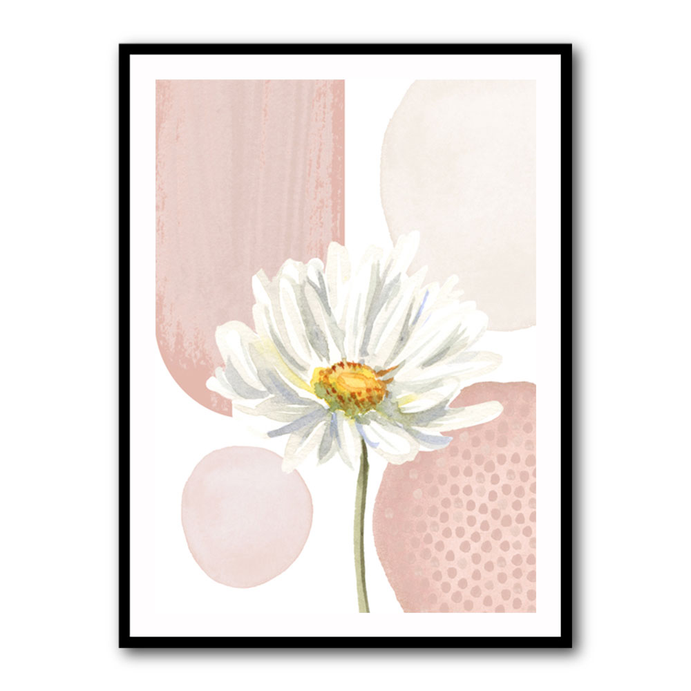 Daisy Pinks 1