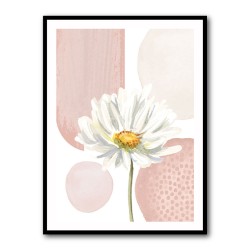 Daisy Pinks 1