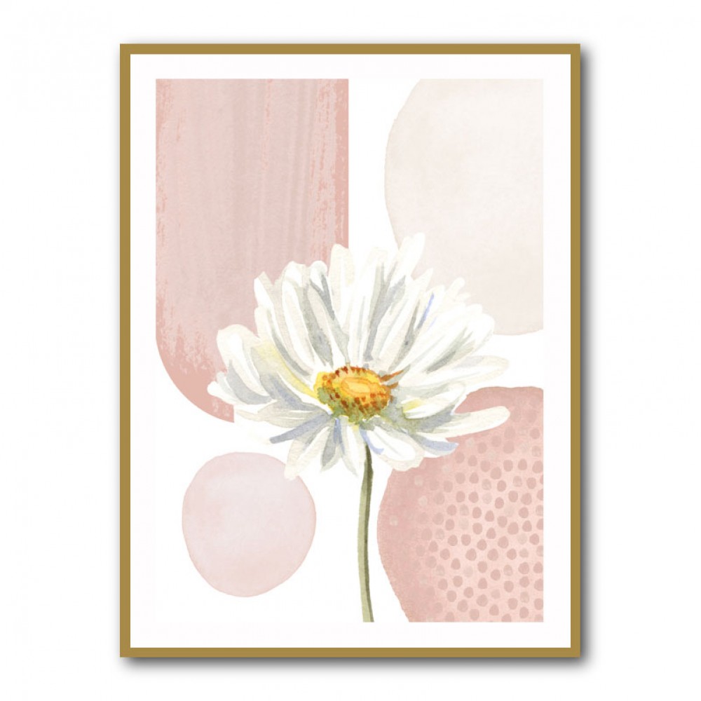 Daisy Pinks 1 Daisy Pinks 1