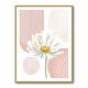 Daisy Pinks 1 Daisy Pinks 1