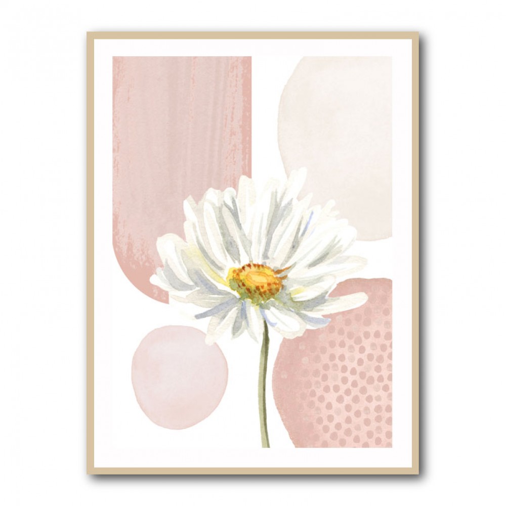 Daisy Pinks 1 Daisy Pinks 1