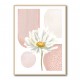 Daisy Pinks 1 Daisy Pinks 1