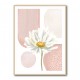 Daisy Pinks 1