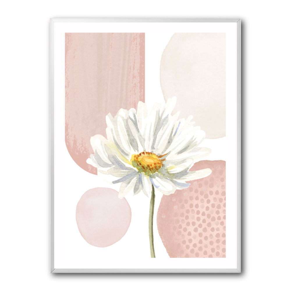 Daisy Pinks 1