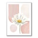 Daisy Pinks 1 Daisy Pinks 1