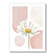 Daisy Pinks 1 Daisy Pinks 1